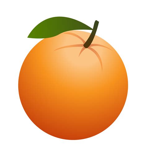 clip art orange|More.